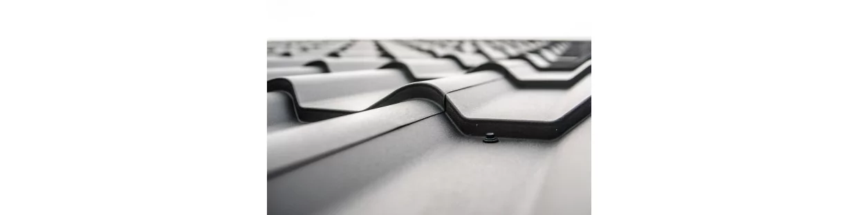 Hydrofuge coloré pour toitures